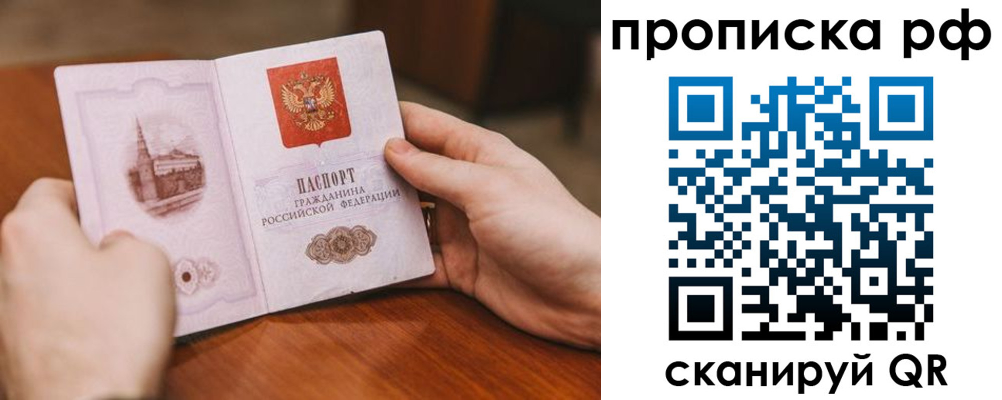 прописка поиск в Элисте